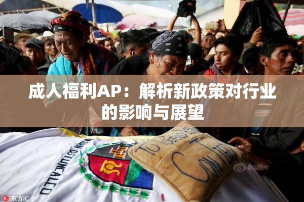 成人福利AP：解析新政策对行业的影响与展望