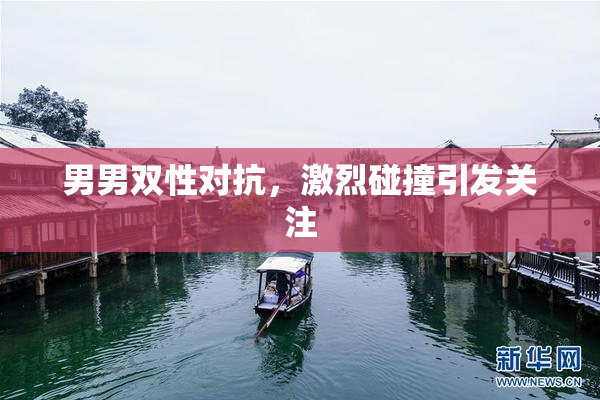 男男双性对抗，激烈碰撞引发关注