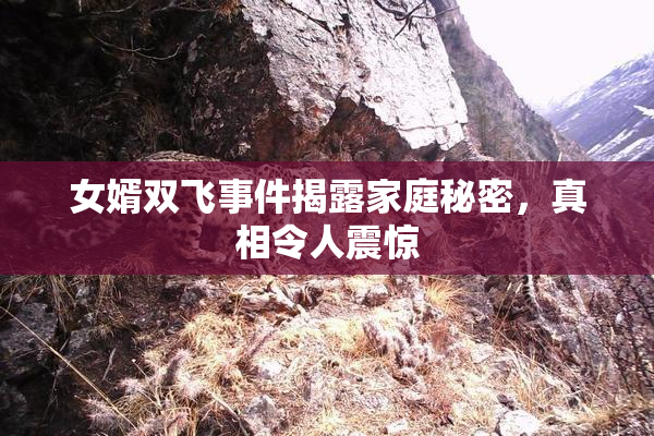 女婿双飞事件揭露家庭秘密，真相令人震惊