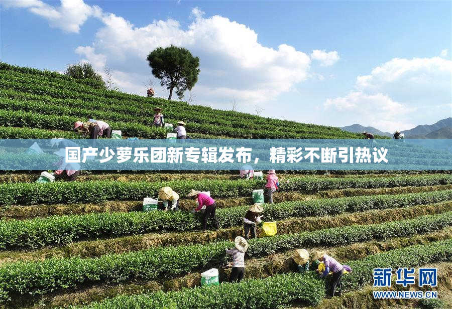 国产少萝乐团新专辑发布，精彩不断引热议