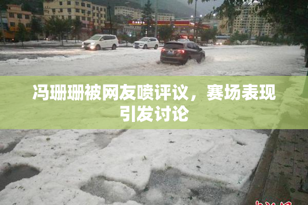 冯珊珊被网友喷评议，赛场表现引发讨论