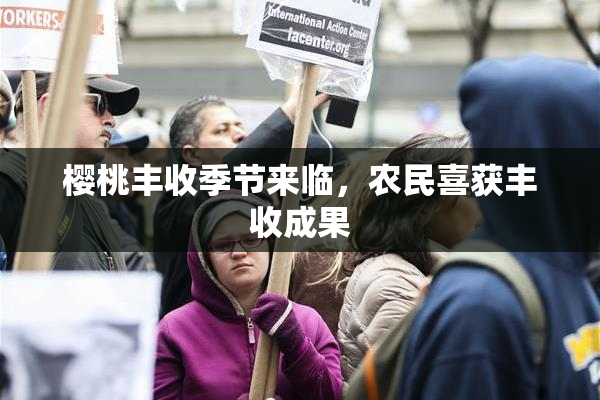 樱桃丰收季节来临，农民喜获丰收成果