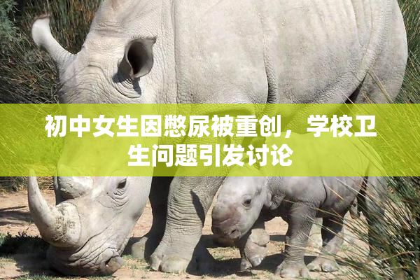 初中女生因憋尿被重创，学校卫生问题引发讨论