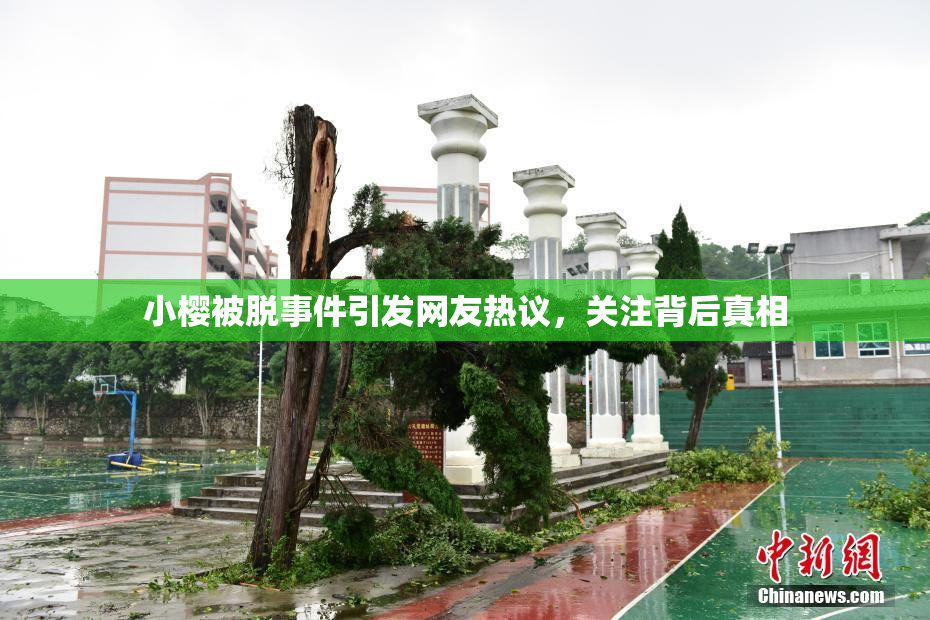小樱被脱事件引发网友热议，关注背后真相