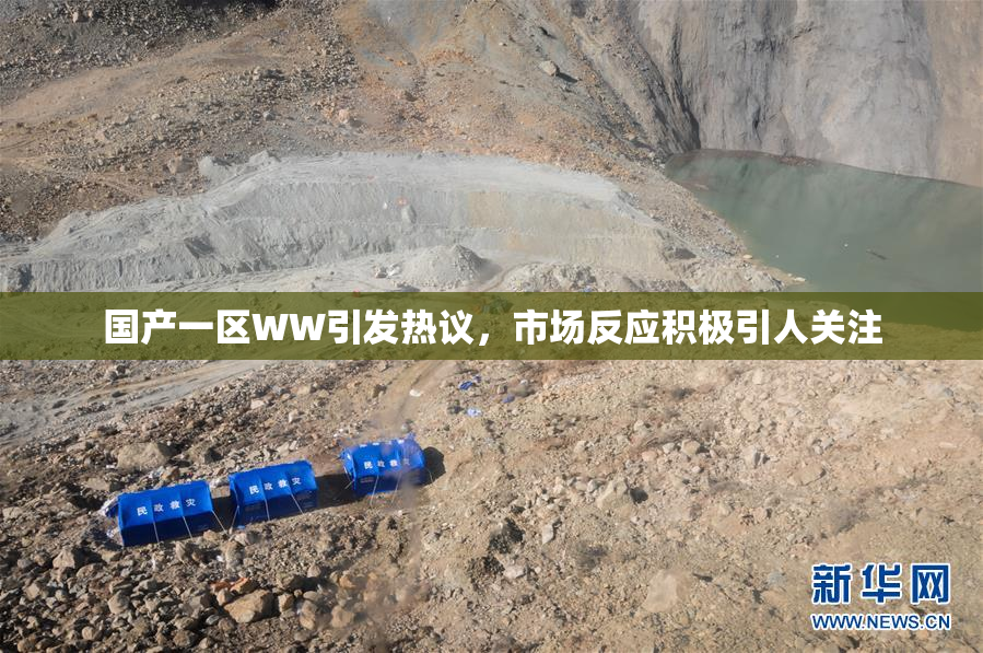 国产一区WW引发热议，市场反应积极引人关注