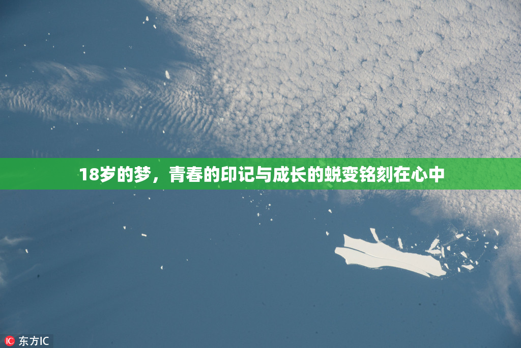 18岁的梦，青春的印记与成长的蜕变铭刻在心中