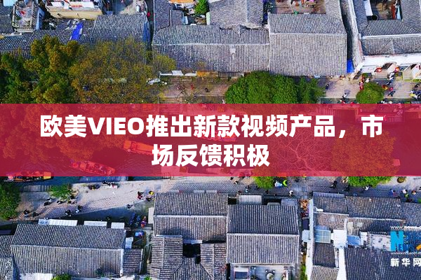 欧美VIEO推出新款视频产品，市场反馈积极