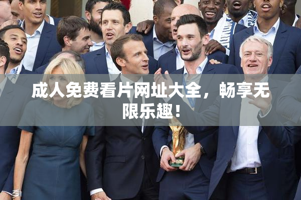 成人免费看片网址大全，畅享无限乐趣！