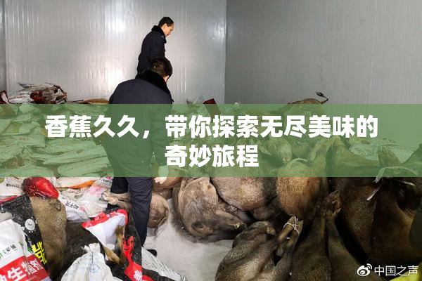 香蕉久久，带你探索无尽美味的奇妙旅程
