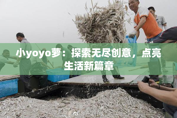小yoyo萝：探索无尽创意，点亮生活新篇章