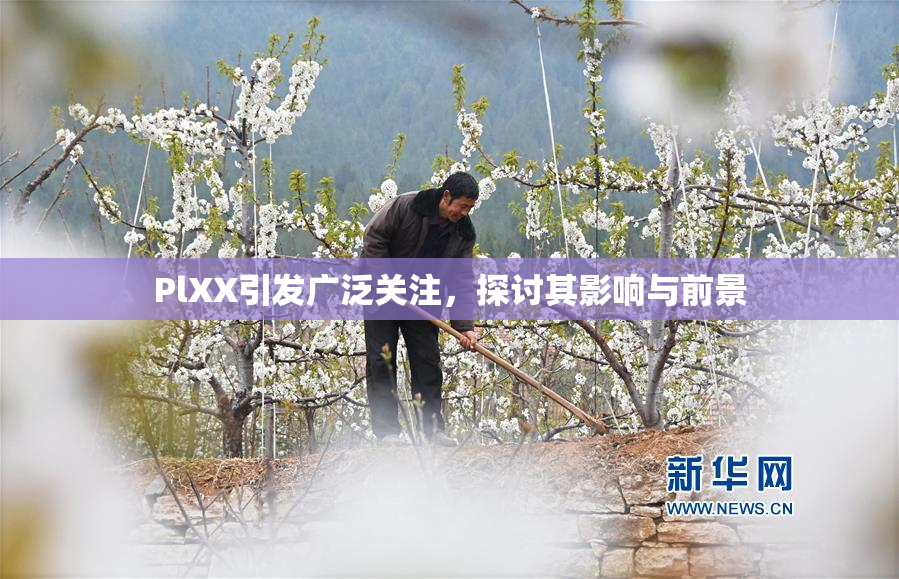 PlXX引发广泛关注，探讨其影响与前景