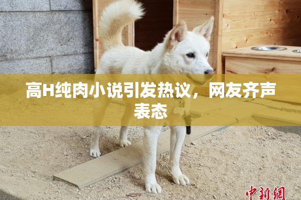 高H纯肉小说引发热议，网友齐声表态