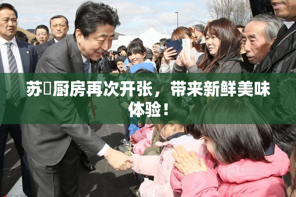 苏玥厨房再次开张，带来新鲜美味体验！
