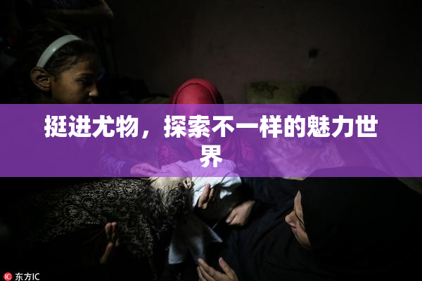 挺进尤物，探索不一样的魅力世界