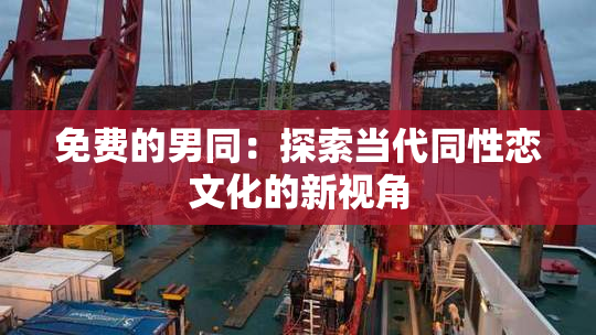 免费的男同：探索当代同性恋文化的新视角