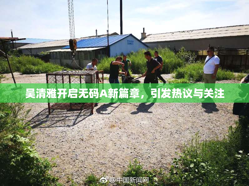 吴清雅开启无码A新篇章，引发热议与关注