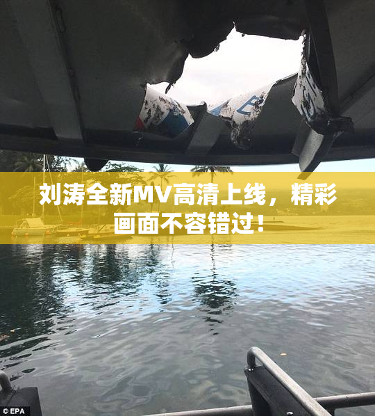 刘涛全新MV高清上线，精彩画面不容错过！