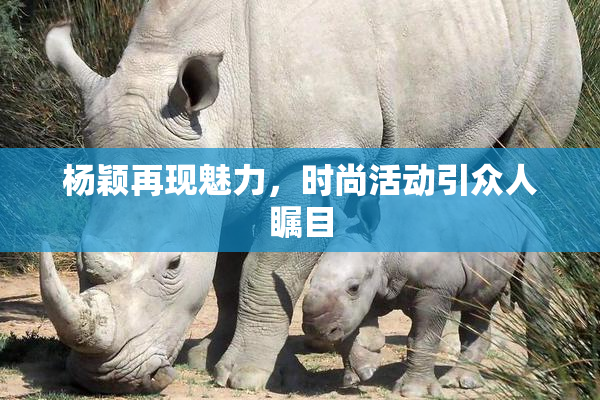 杨颖再现魅力，时尚活动引众人瞩目