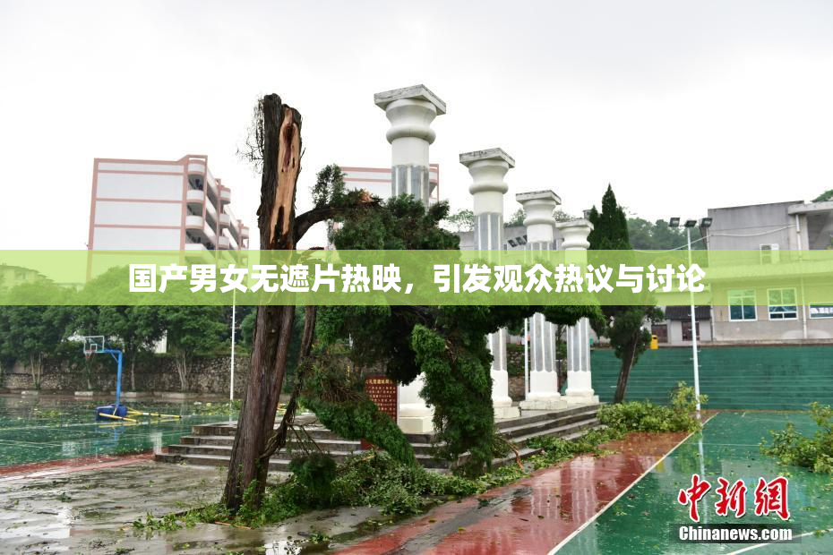 国产男女无遮片热映，引发观众热议与讨论