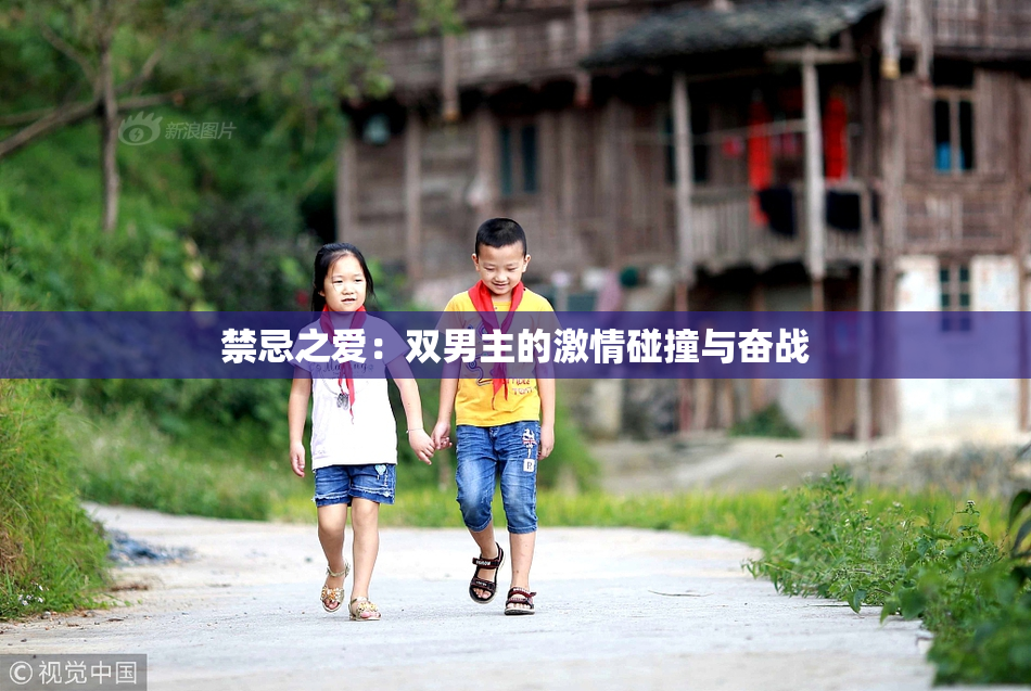 禁忌之爱：双男主的激情碰撞与奋战