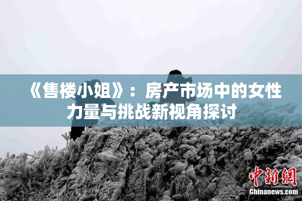 《售楼小姐》：房产市场中的女性力量与挑战新视角探讨