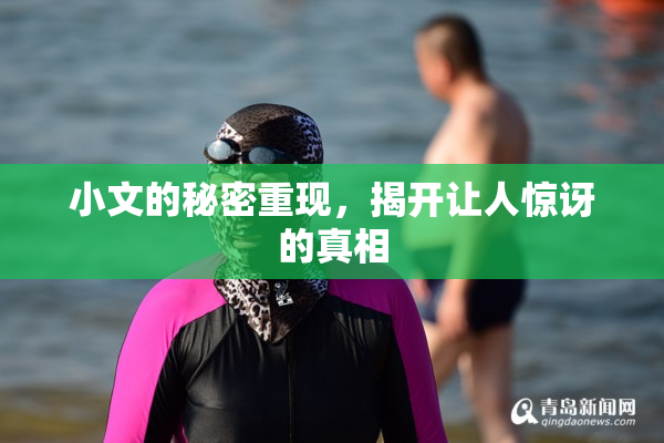 小文的秘密重现，揭开让人惊讶的真相