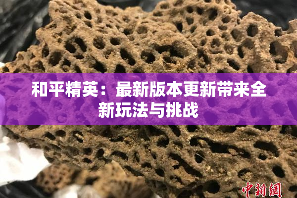 和平精英：最新版本更新带来全新玩法与挑战