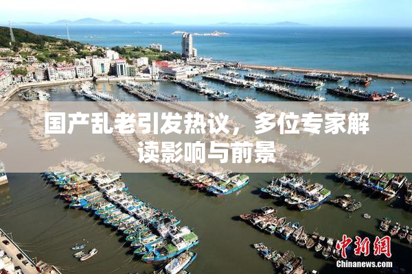 国产乱老引发热议，多位专家解读影响与前景