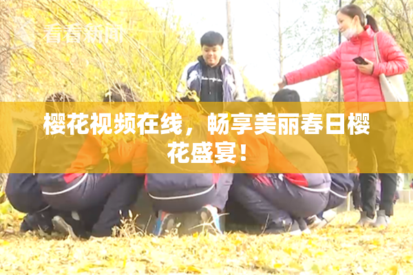 樱花视频在线，畅享美丽春日樱花盛宴！
