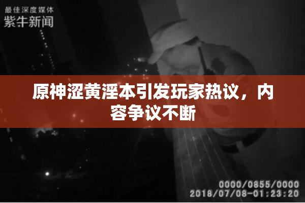 原神涩黄淫本引发玩家热议，内容争议不断