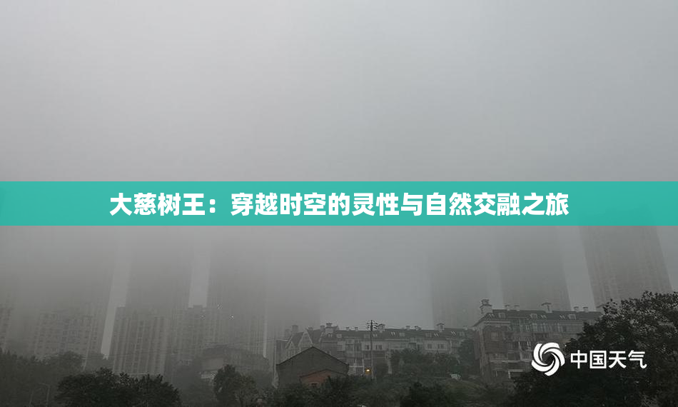 大慈树王：穿越时空的灵性与自然交融之旅
