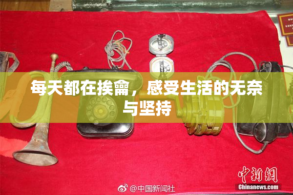 每天都在挨龠，感受生活的无奈与坚持
