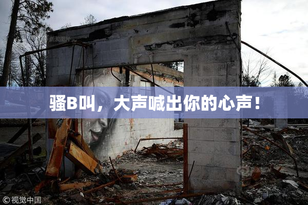 骚B叫，大声喊出你的心声！