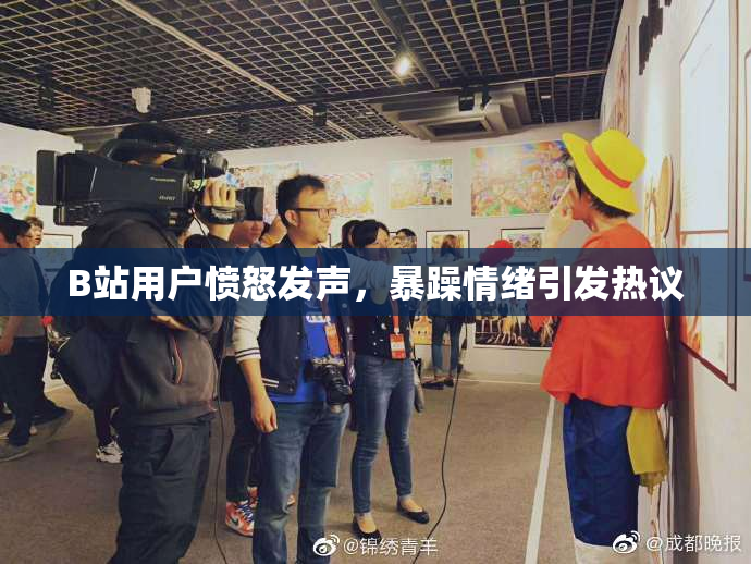 B站用户愤怒发声，暴躁情绪引发热议