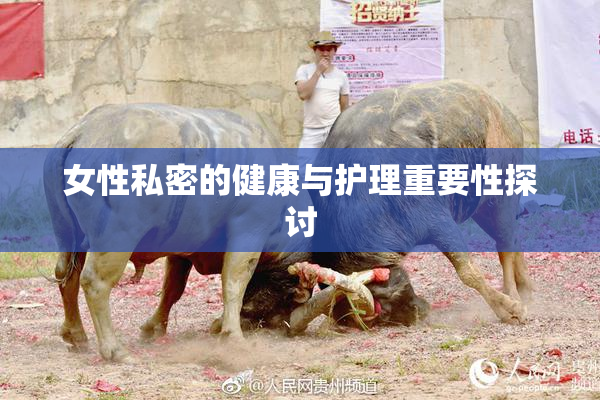 女性私密的健康与护理重要性探讨