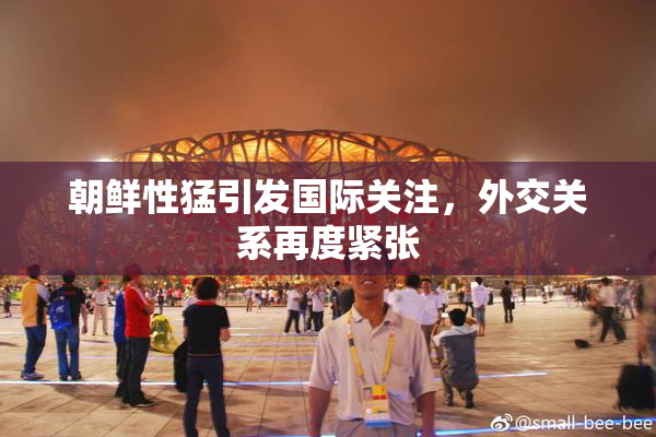 朝鲜性猛引发国际关注，外交关系再度紧张