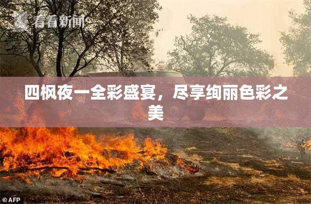 四枫夜一全彩盛宴，尽享绚丽色彩之美