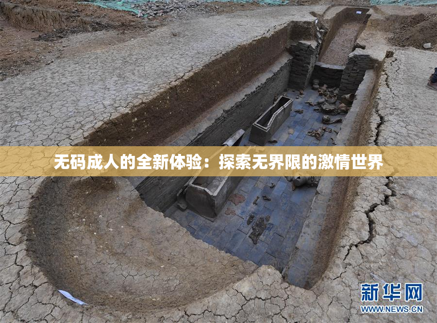 无码成人的全新体验：探索无界限的激情世界