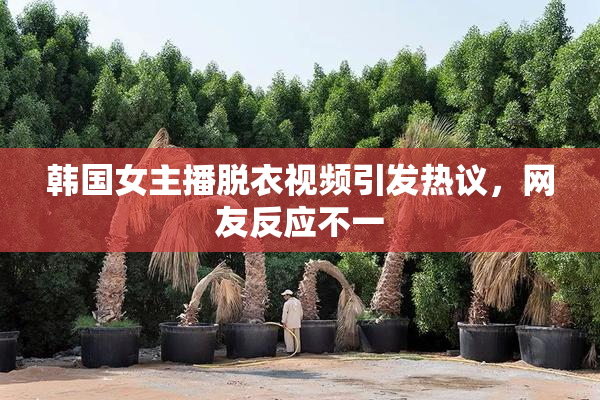 韩国女主播脱衣视频引发热议，网友反应不一