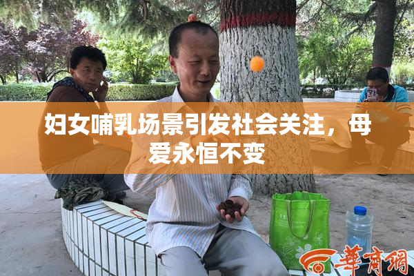 妇女哺乳场景引发社会关注，母爱永恒不变