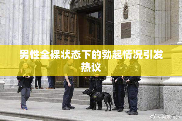 男性全裸状态下的勃起情况引发热议