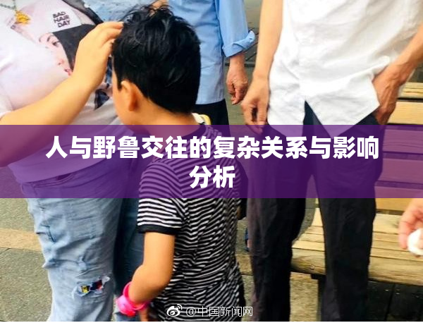 人与野鲁交往的复杂关系与影响分析