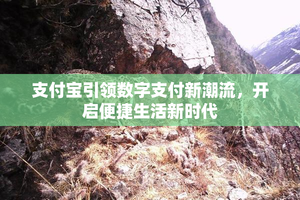 支付宝引领数字支付新潮流，开启便捷生活新时代