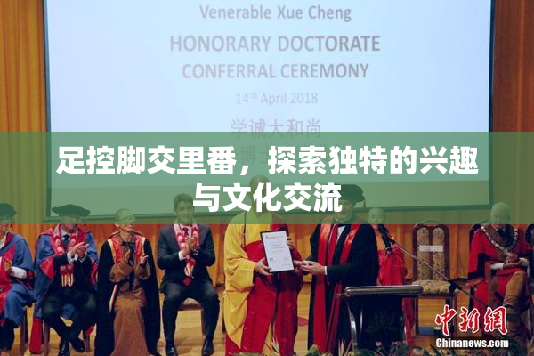 足控脚交里番，探索独特的兴趣与文化交流