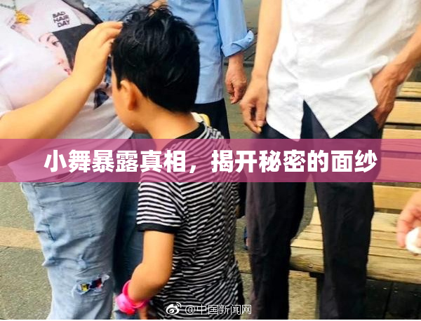 小舞暴露真相，揭开秘密的面纱