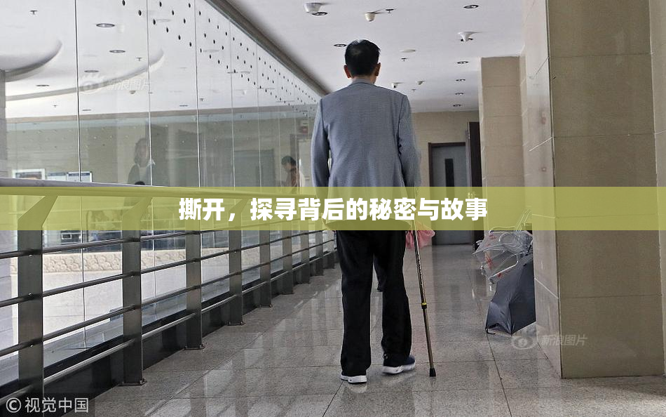 撕开，探寻背后的秘密与故事