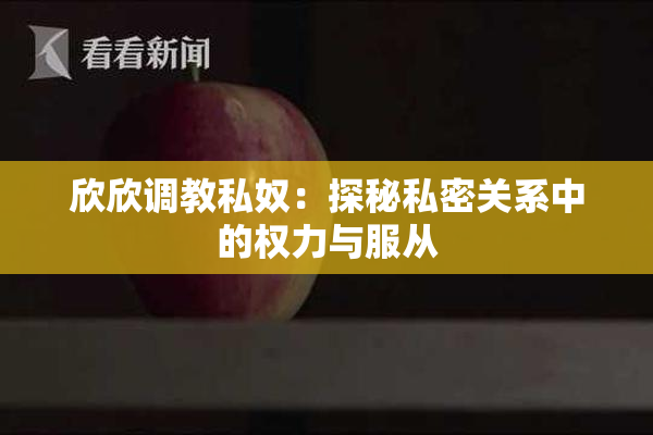 欣欣调教私奴：探秘私密关系中的权力与服从