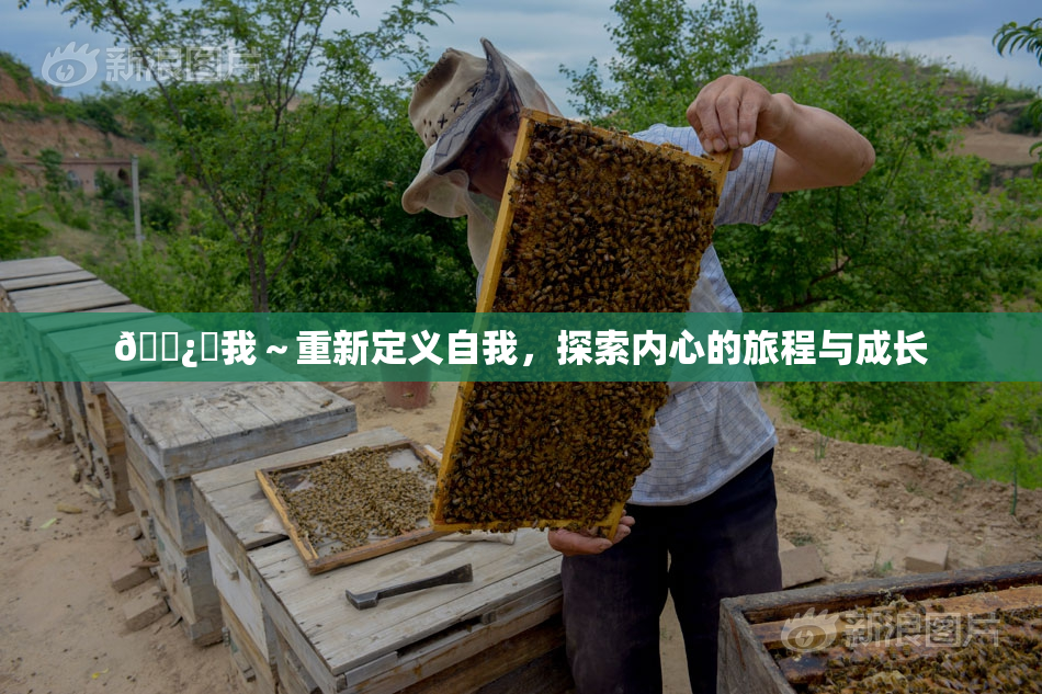 🌿‌我～重新定义自我，探索内心的旅程与成长