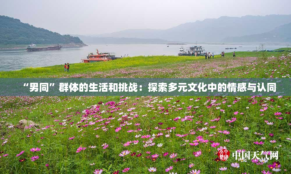 “男同”群体的生活和挑战：探索多元文化中的情感与认同