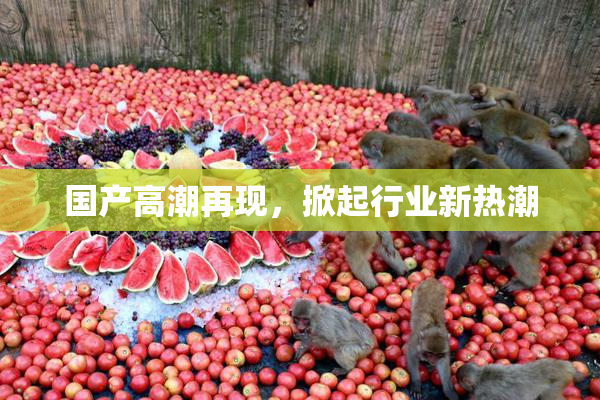 国产高潮再现，掀起行业新热潮